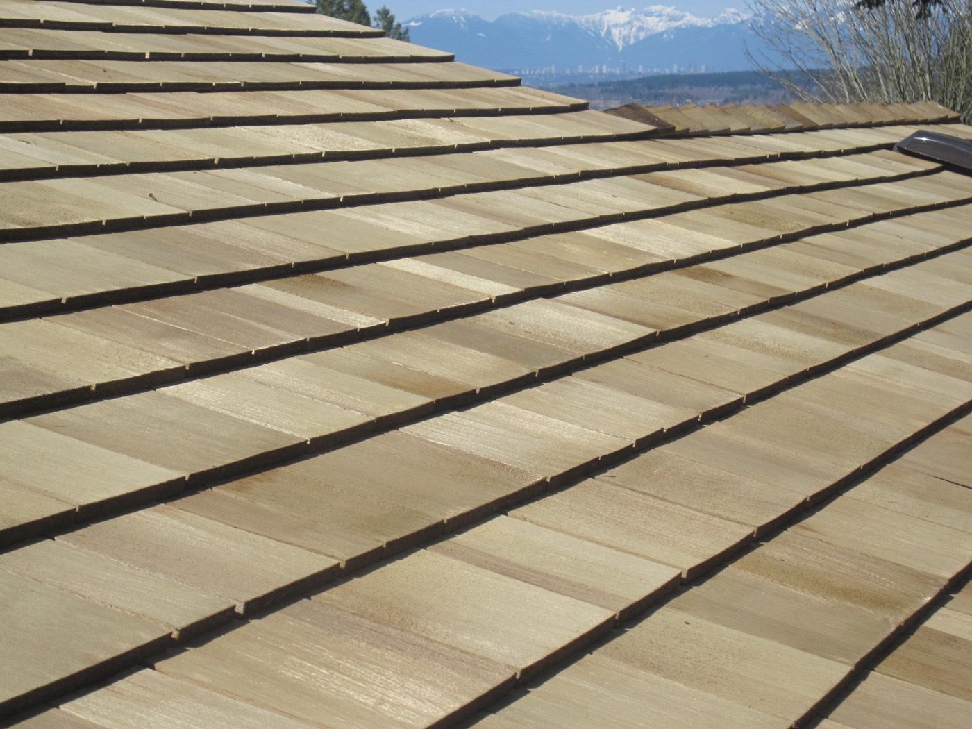 Cedar shake roof surface
